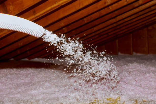 Best Specialized Insulation Services in Glasgow Village, MO