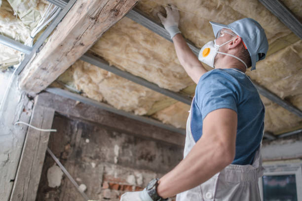  Glasgow Village, MO Insulation Contractor Pros