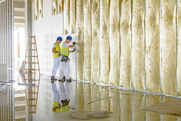 Best Cellulose Insulation in Glasgow Village, MO